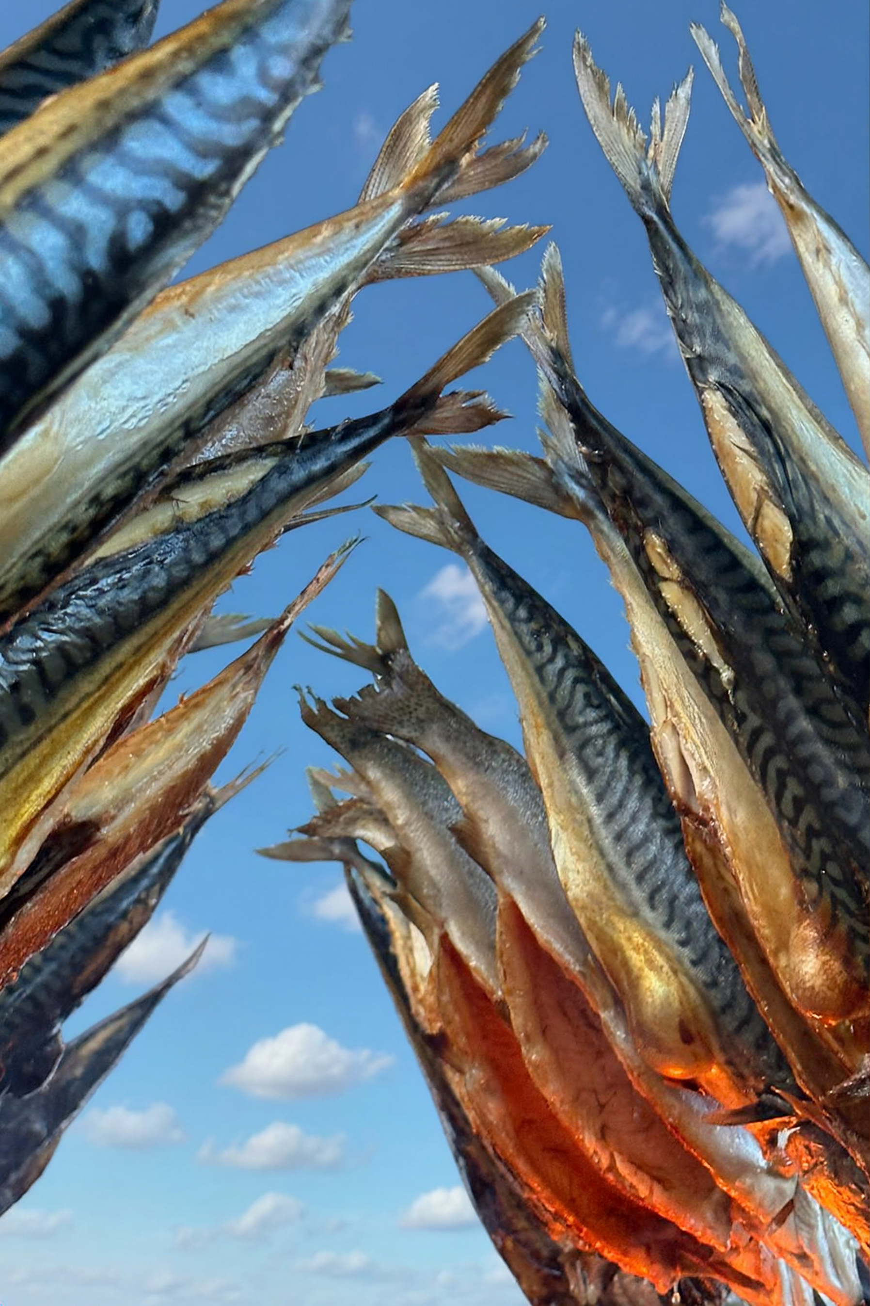Steckerlfisch vor Ort gegrillt - 866-to-cater.de - Landfleischerei Sp�th